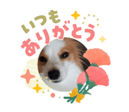 841277715