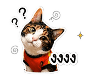 841277797