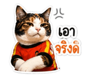 841277798