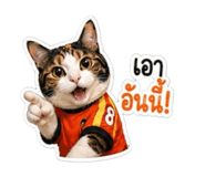 841277818