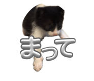 841277991