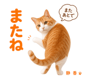 841278074