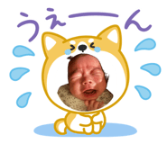 841278379