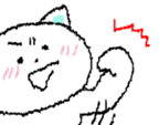 84127878