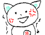 84127879