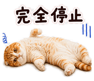 841278864