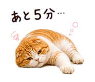 841278869