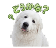 841279044