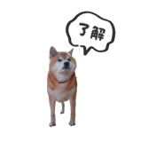 841279077