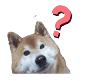 841279078