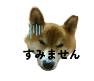 841279079