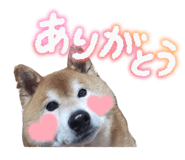 841279080