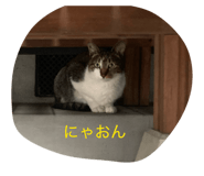 841279161