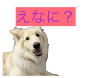 841279210