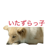 841279212