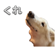 841279213