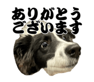 841279450