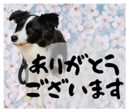 841279451