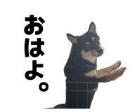 841279509