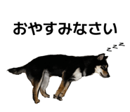 841279510
