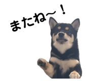 841279511