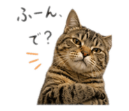 841279715