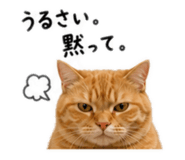 841279725