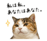 841279734