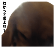 841279789