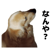 841279791