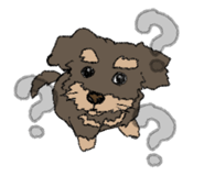 841279881