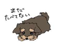 841279884