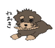 841279888