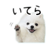 841280108