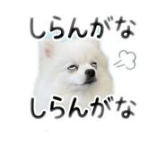 841280112