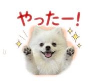 841280120