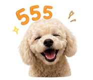 841280237