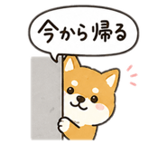 841280243