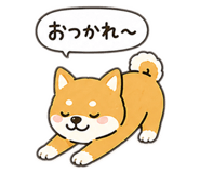 841280255