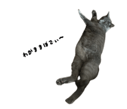 841280932