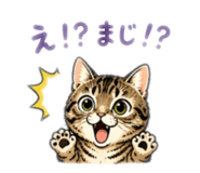 841281105