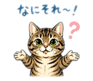 841281106