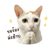 841281524