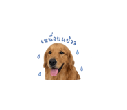841283371