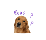 841283378