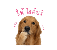 841283382