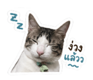 841283920