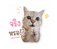 841285348