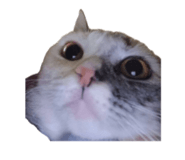 841285607