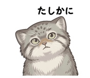 841287016